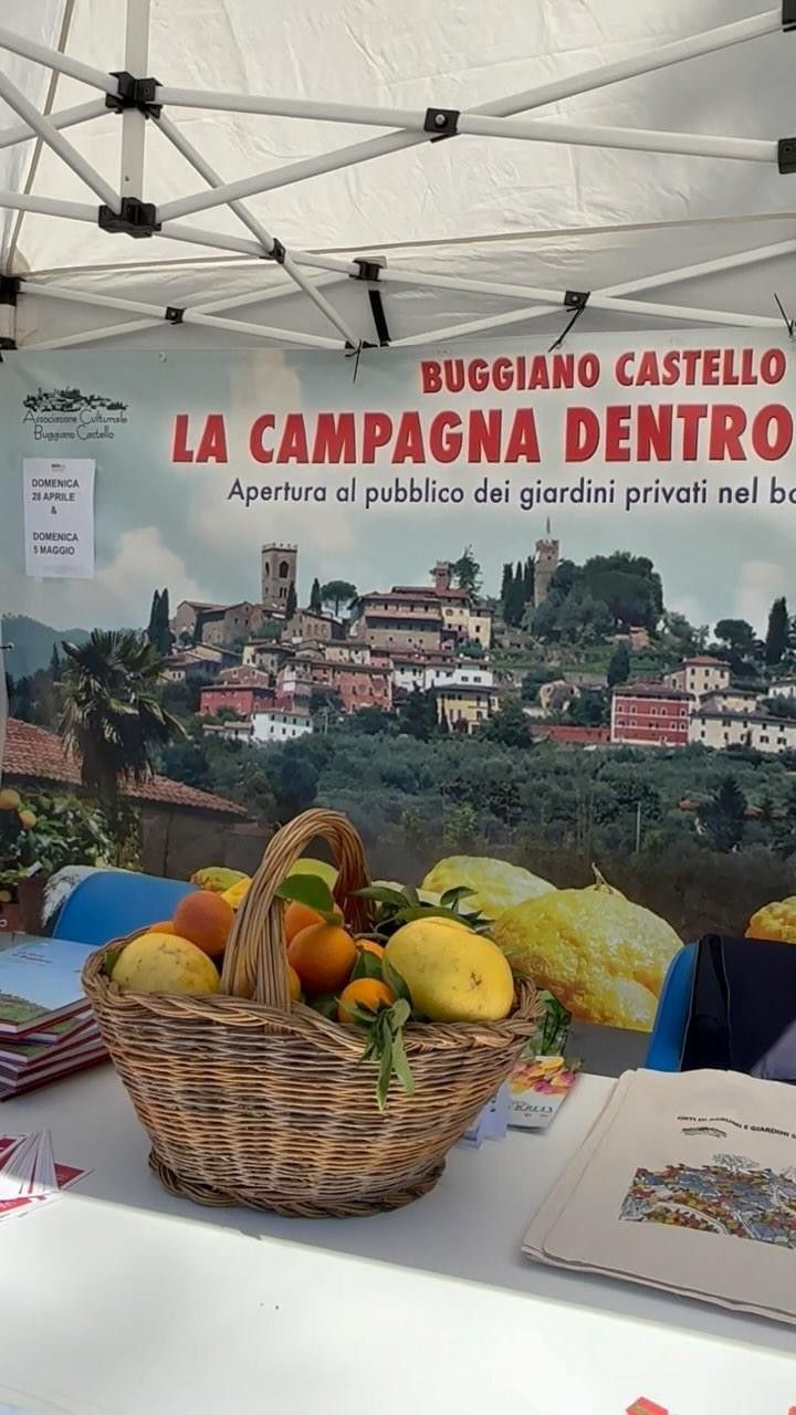 Venite a trovarci anche domani a @verdemuralucca per scoprire la prossima edizione di #LaCampagnaDentroLeMura in programma il 28 aprile e 5 maggio a #BuggianoCastello
Vi aspetta una sorpresa al nostro stand.
Vi aspettiamo!