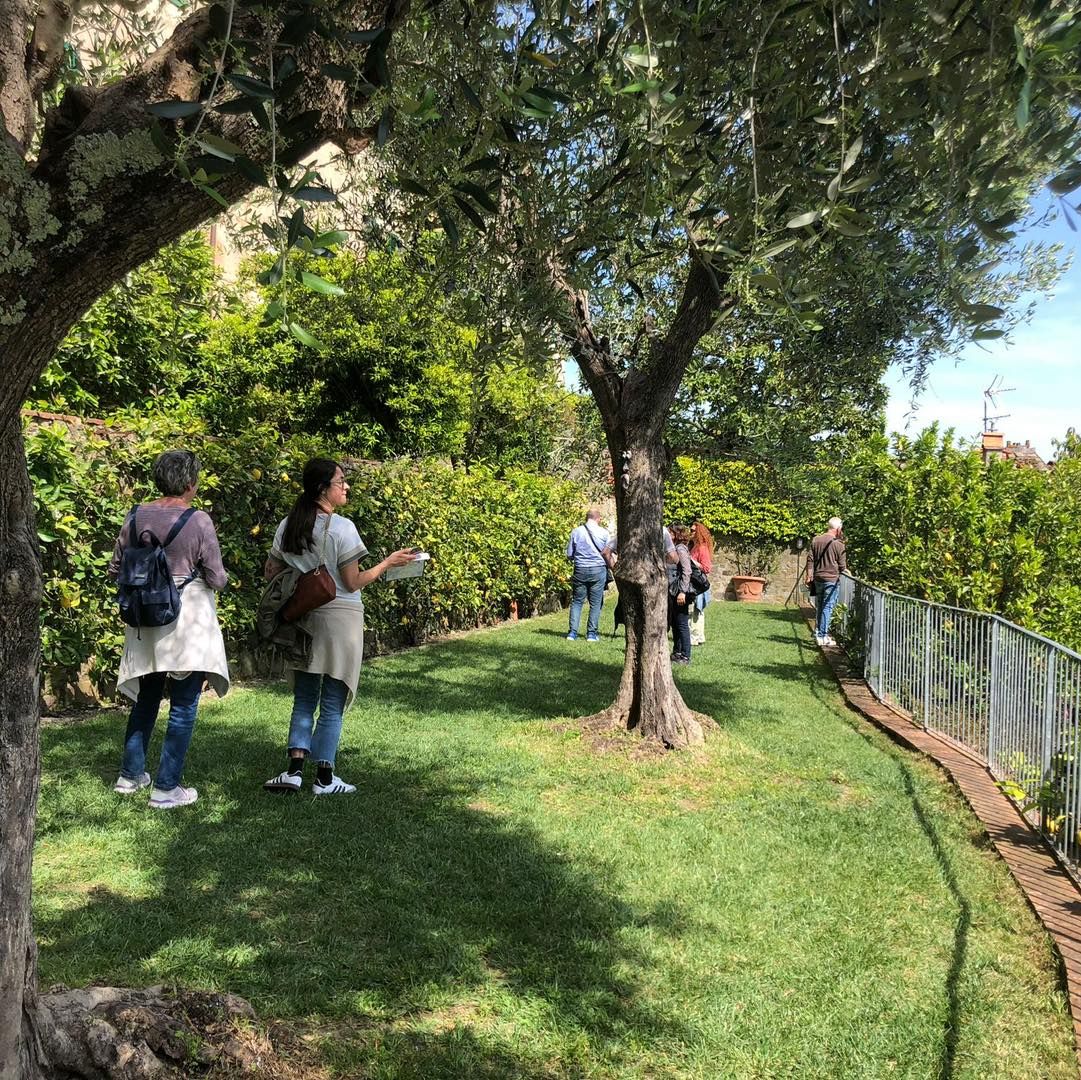 Torna questa domenica, 5 maggio l’ultimo appuntamento con l’edizione 2024 di #LaCampagnaDentroLeMura
Dopo lo straordinario successo di ieri siamo pronti ad accogliervi per stupirvi ancora con i giardini e orti segreti del borgo medioevale oltre alle mostre, curiosità e sorprese che solo chi è venuto a trovarci domenica 28 ha scoperto.
VI ASPETTIAMO A #BuggianoCastello !