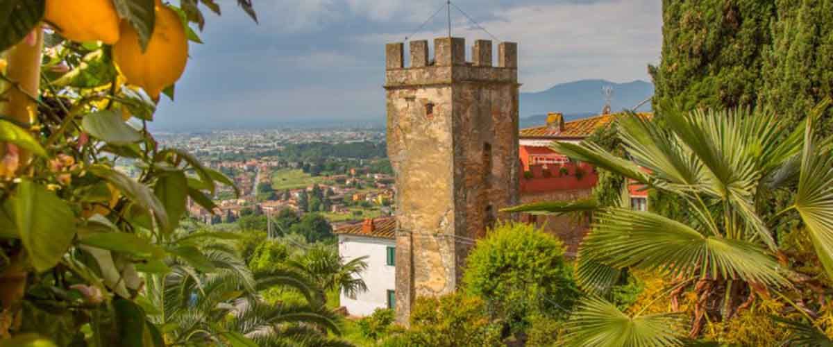 Villa Picchi Sermolli Buggiano Castello